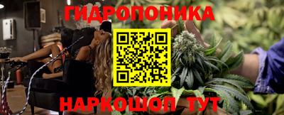 спиды Будённовск