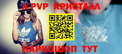 спиды Будённовск